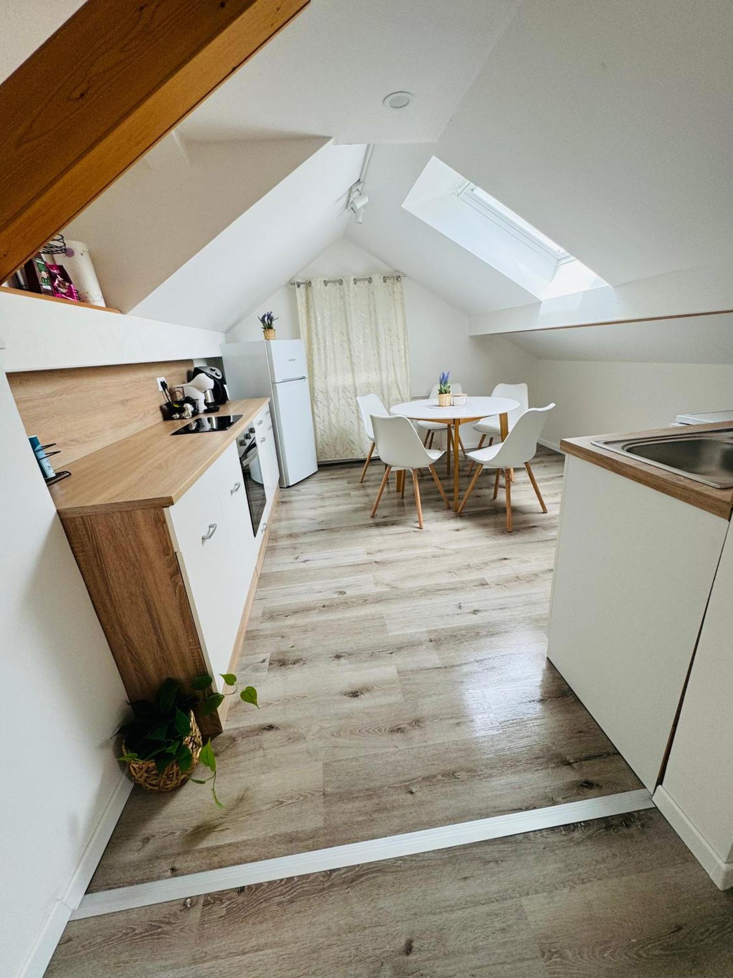 Aria Apartment Mosnje Екстер'єр фото